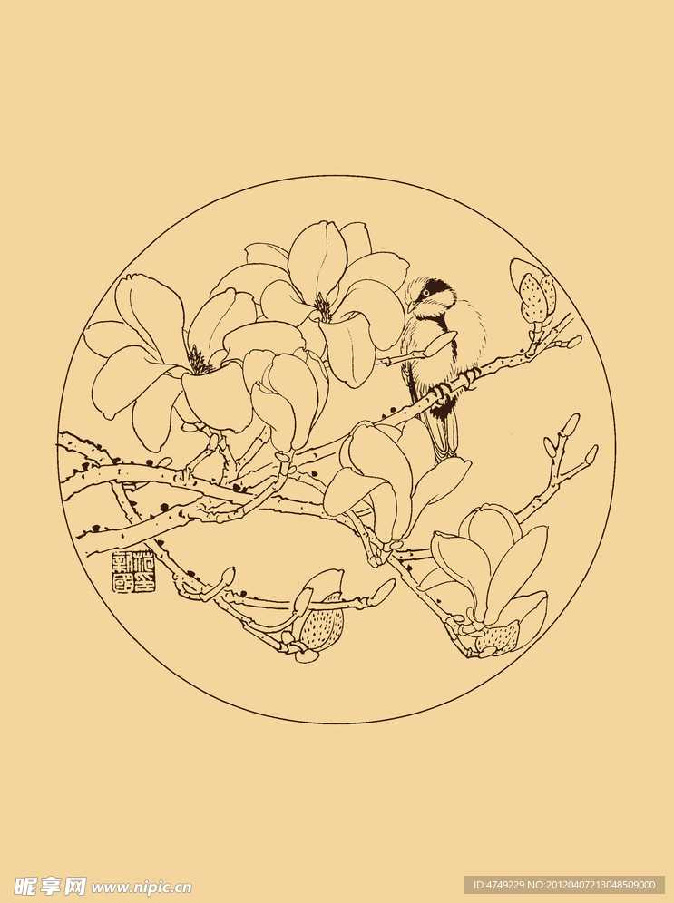 玉兰