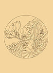 玉兰