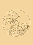 玉兰