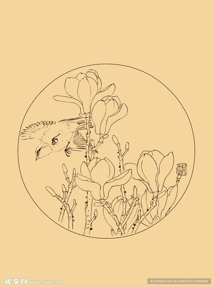 玉兰
