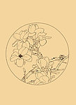 玉兰