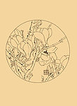 玉兰
