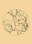 玉兰