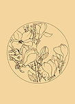 玉兰