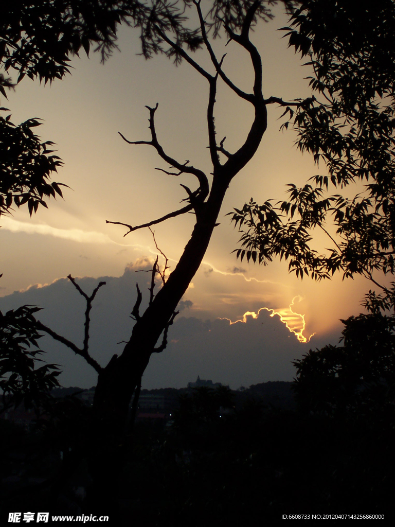 夕阳风光