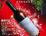 红酒海报