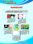 传统毒品的种类
