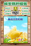 柠檬酱 海报 创食记