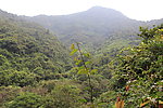 青山