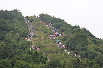 梧桐山