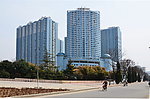 新村的新高