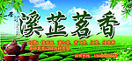 茶广告