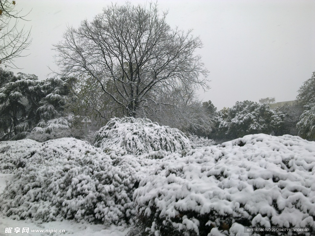 雪景