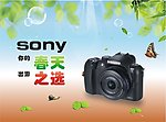 sony的春天