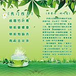 春茶 设计