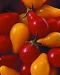高清西红柿照片