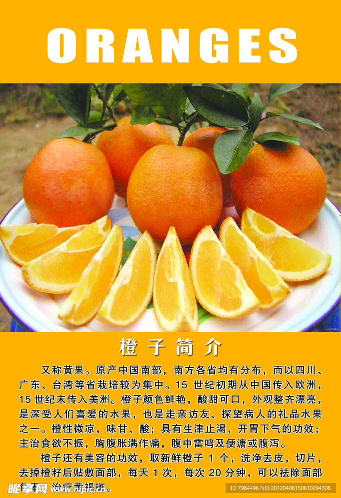橘子简介