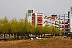 学院的草坪
