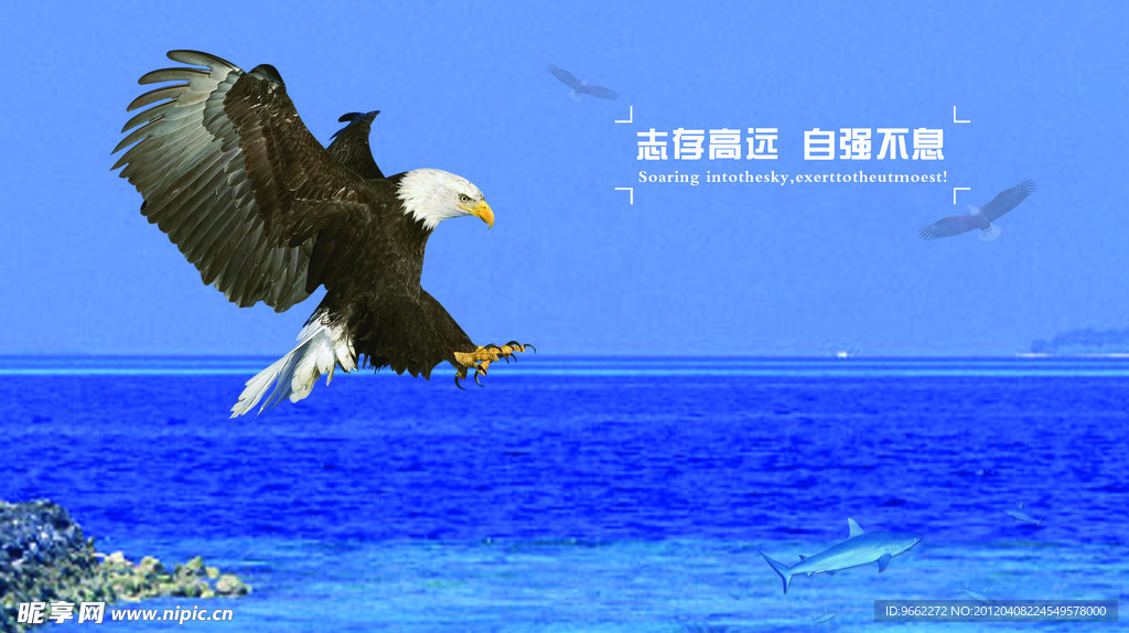 志存高远 自强不息