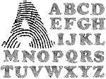 指纹英文字母