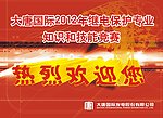 红色 电力