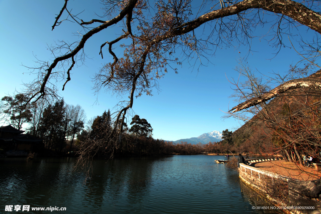 水岸风景