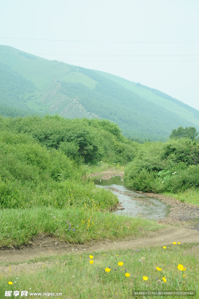 青山绿水