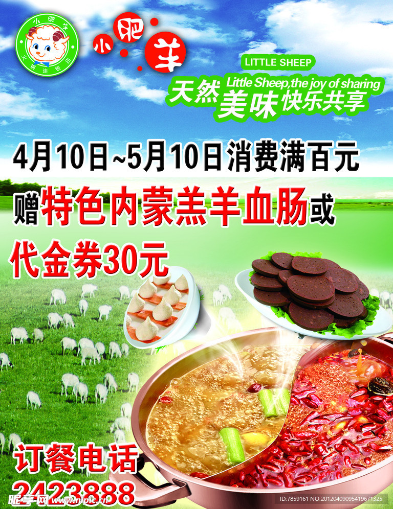 小肥羊广告