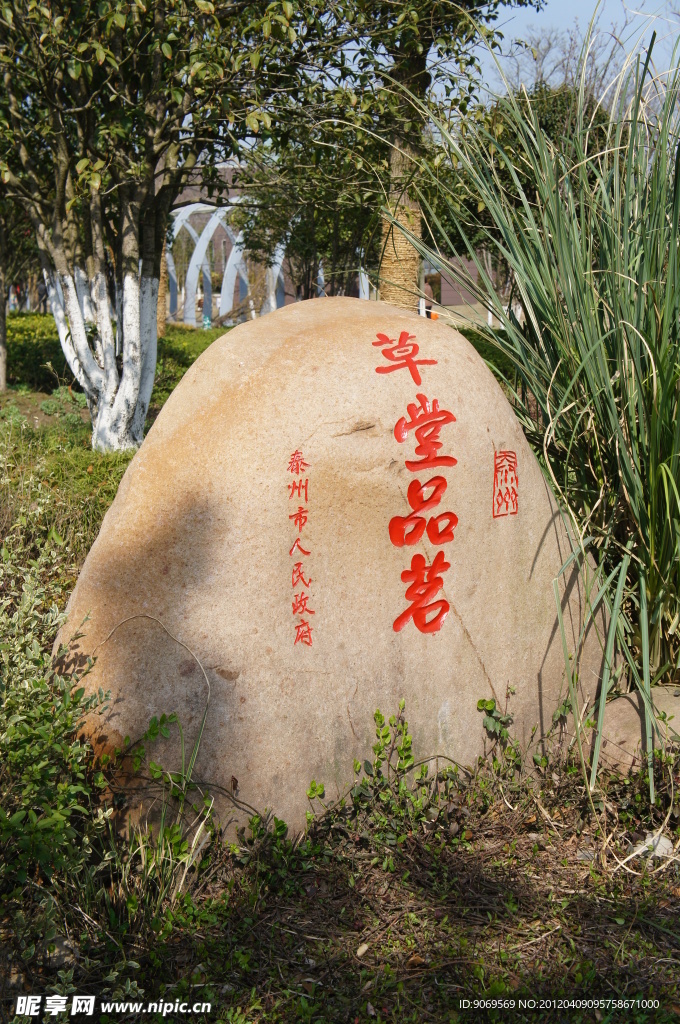 草堂品茗
