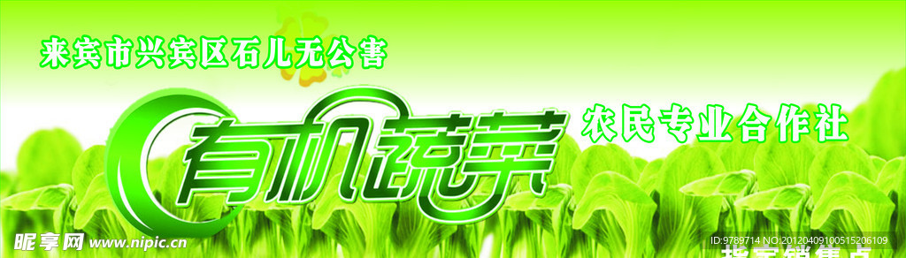 有机蔬菜