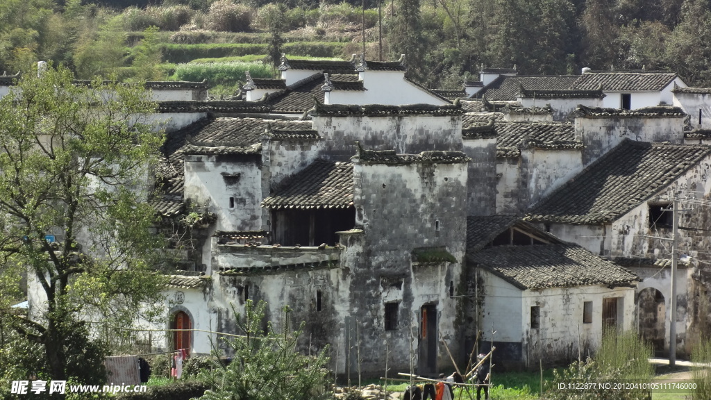 婺源溪延