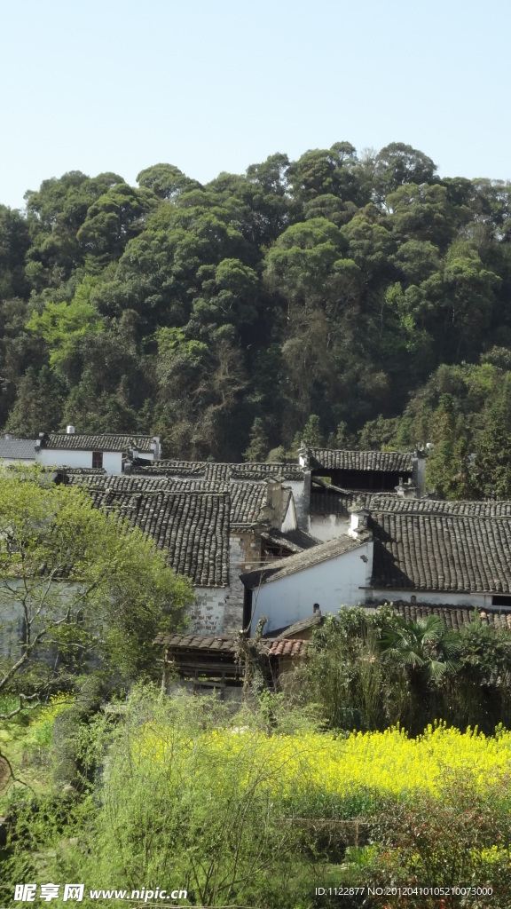 婺源溪延
