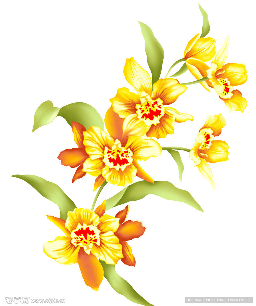花纹 花枝
