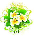 鲜花花卡