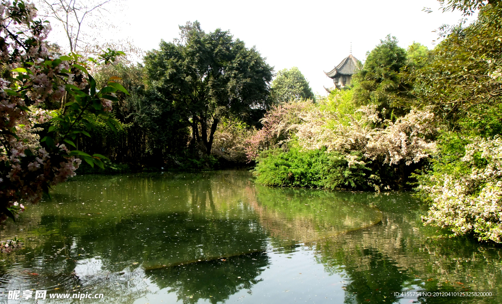园林景观