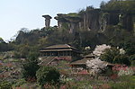 吼山 桃花节