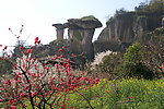 吼山 桃花节