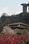 桃花节