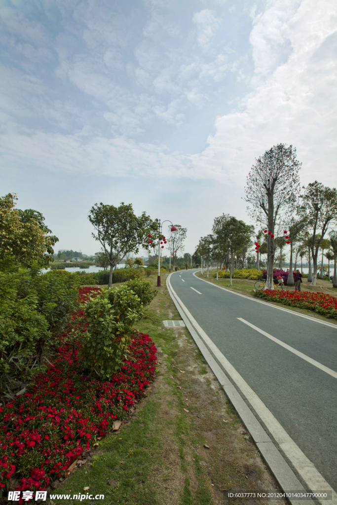 道路 城市