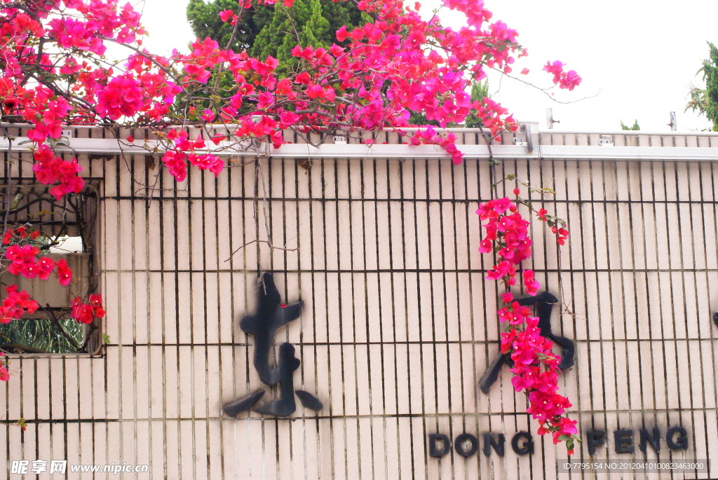 绚烂
