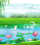 天鹅湖