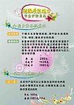 美容美颜SPA生活