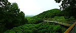 江洋畈生态公园