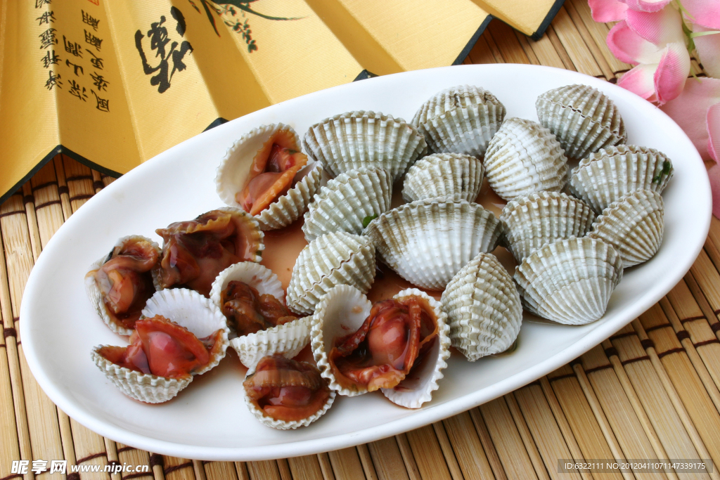 潮式咸血蚌