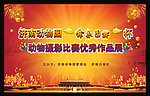 动物优秀图片展