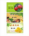 水果名片