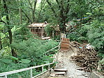 丛林中的小屋