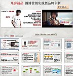 凡客体 创建及推广