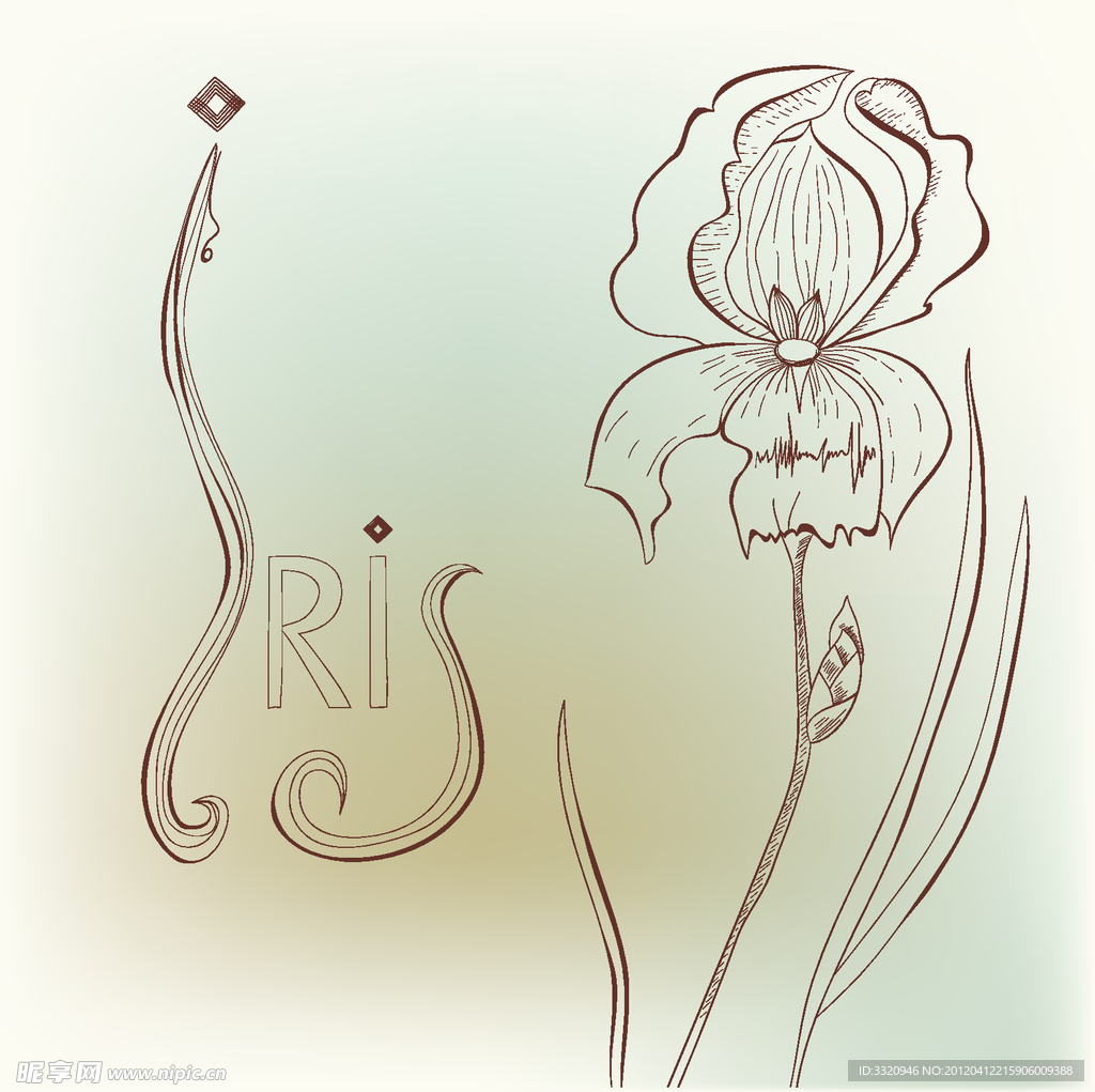 古典花卉花纹
