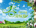 春姿绽放 春天 风景